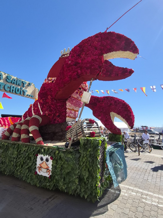 Sortie Yeu – 22 au 25 mai 2026 – 04